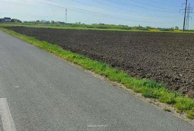 Teren de 10000 mp, în Cerneteaz - 4