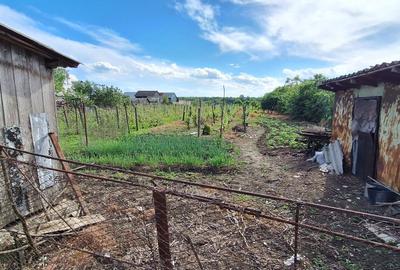 Casă cu 4 camere în Raciu - 7