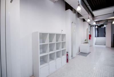 Spațiu comercial, de 236 mp, în Kiseleff - 9