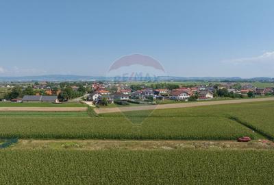Teren Construcții intravilan de 1463 mp, în Stupini - 4