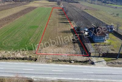 Teren de 3657 mp, în Băiculești - 6