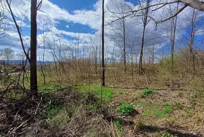 Teren de 5265 mp, în Central - 4