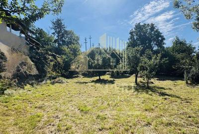 TEREN INTRAVILAN 3234 MP LERE?TI VOINE?TI ARGE? - 6