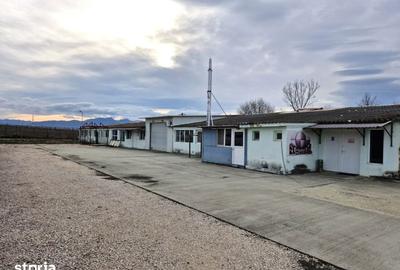 Spațiu comercial, de 1,128 mp, în Călan - 4