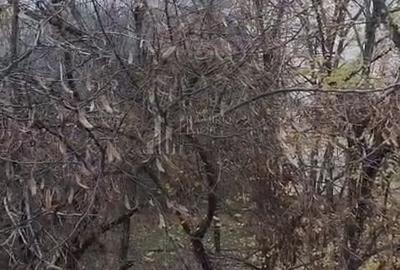 Apartament cu 3 camere semidecomandat în Titan - 4