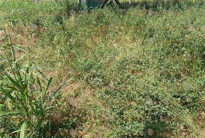 Vanzare teren localitatea Magurele Vanzare teren localitatea Magurele - 5