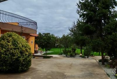 Vilă cu 7 camere, 3 băi, P+M, garaj, terasă, 1130 mp teren, Sântandrei, Bihor. - 24