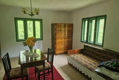 Vand casa in zona de munte, com. Podeni, jud. Mehedin?i. - 8