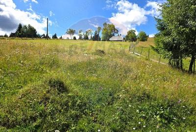 Teren de vis in Fundata 1934mp sau 3868mp, la inal?imea sufletului tau - 6