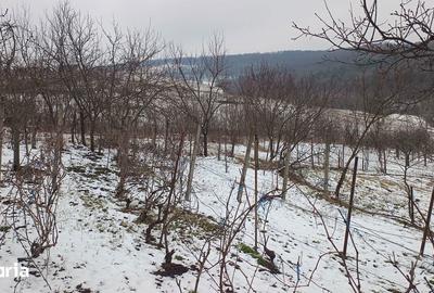 Teren de 704 mp, în Rediu - 7
