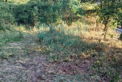 Teren Construcții intravilan de 1690 mp, în Ultracentral - 7