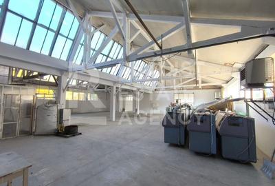 Spațiu industrial, de 1,220 mp, în Tohanu Vechi - 8