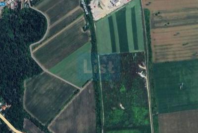 Teren extravilan de 7500 mp, în Titu - 1