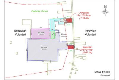 Teren în Tunari - 3