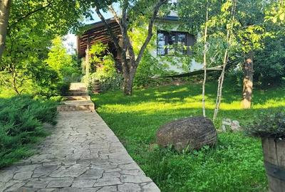 Casă cu 4 camere cu Teren 7500 Mp în Bazna - 2