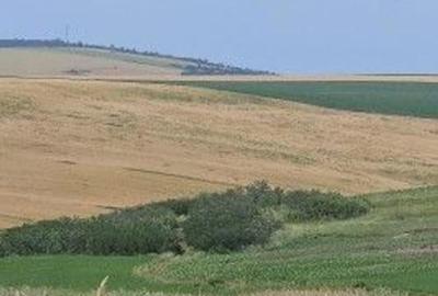 Teren Extravilan Aroneanu, ID: R2577828 - 8