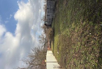 Casă în Apahida - 3