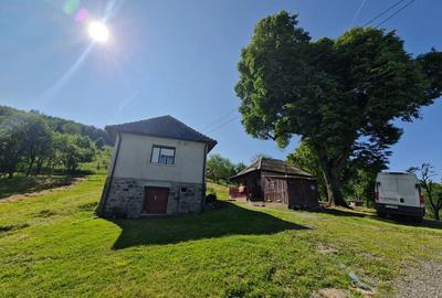 Casa de vanzare in Tranisu ( Valea Draganului ) - 10