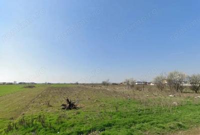 Teren de 480 mp, în Berceni - 2