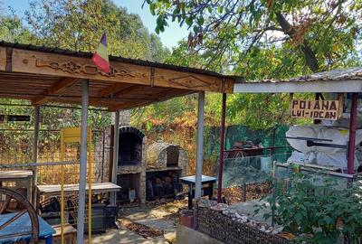 Povernei Bragadiru casa 55 mp, teren 1274 mp cu livada - 6