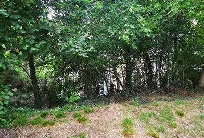 Teren Moroasa 1000 mp intravilan negociabil - 6