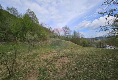 Teren superb, intravilan - la marginea padurii ! - 25