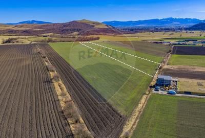 Teren agricol extravilan de 21893 mp, în Bod - 7