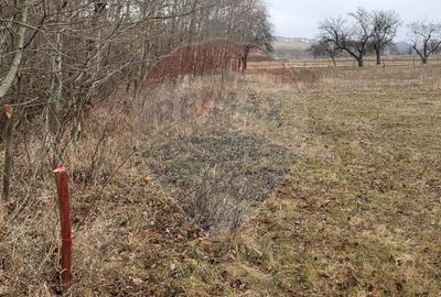 Teren agricol intravilan de 2592 mp, în Lipoveni - 22