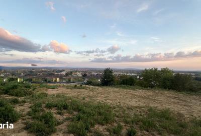Teren de 1090 mp, în Valea Borcutului - 2