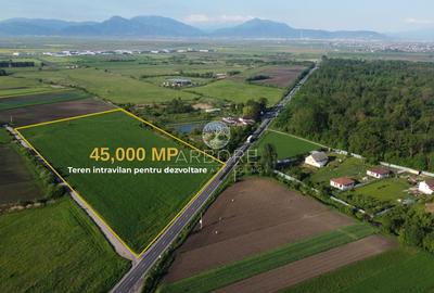 Teren Construcții intravilan de 45000 mp, în Prejmer - 4