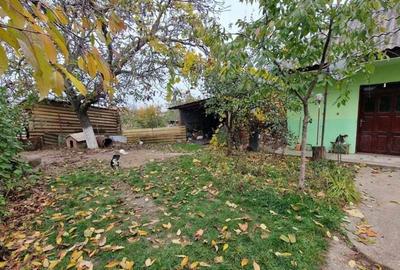 De vanzare casa Carani + teren 2085 mp- 697 - 17