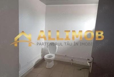 Spațiu comercial, de 140 mp, în Mihai Bravu - 11