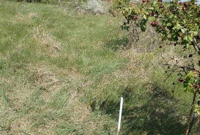 Teren 680mp Valea Adanca Joldea Voda Miroslava - 9