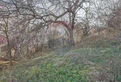 Casă cu 2 camere cu Teren 1000 Mp în Schei - 6