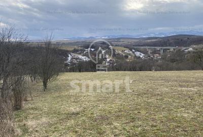 Teren intravilan cu CF 5400mp front 17 Savadisla jud Cluj - 11