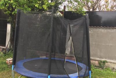 OVIDIU PARTEA CU GHIOLUL vila - 2