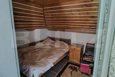 Cabana 5 camere Salard - 8