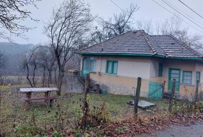 Teren Construcții intravilan de 5265 mp, în Teișani - 9