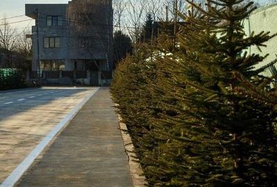 Vilă De Închiriat Premium 5 Camere | Tunari | Pipera - 14