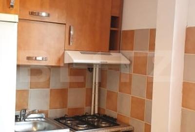 Garsoniera superba, 25 mp, zona Tractoru - 5