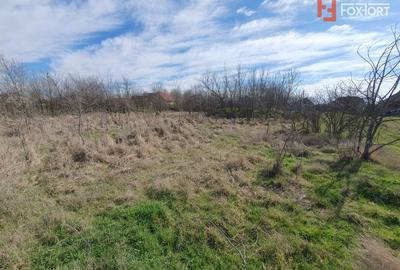 Teren Construcții intravilan de 2840 mp, în Jebel - 3