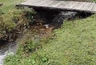 Teren Construcții intravilan de 6000 mp, în Ortoaia - 16