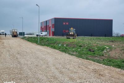 Teren de 4000 mp, în Frumușani - 3