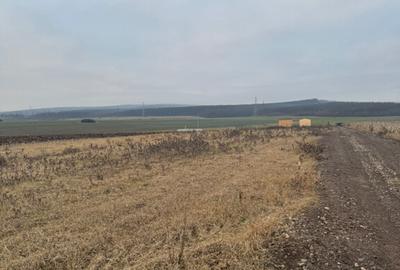 Teren cristur hunedoara parcele 500, 1000, 1500 mp - 6