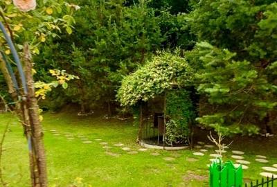 Casa de vacanta sau pensiune | Batca Doamnei | Teren in natura - 2