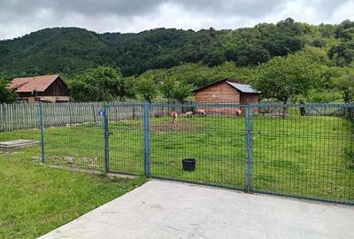 Teren de 2700 mp, în Polovragi - 6