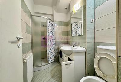 Apartament cu 2 camere decomandat în Turnișor - 7