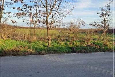 RECO Teren intravilan 2266 mp - 1