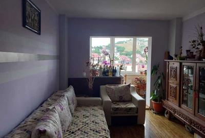 Apartament cu 3 camere decomandat în Drumul Carului - 1