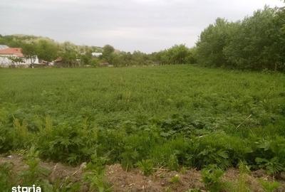 Teren de 2464 mp, în Central - 8